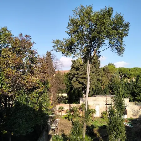 Palazzo Sosia, Centro Storico Appartement Pise